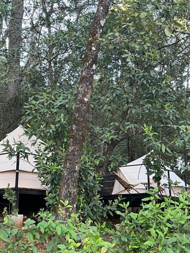 Hotel Oxu Solo Adultos Valle de Bravo Luaran gambar
