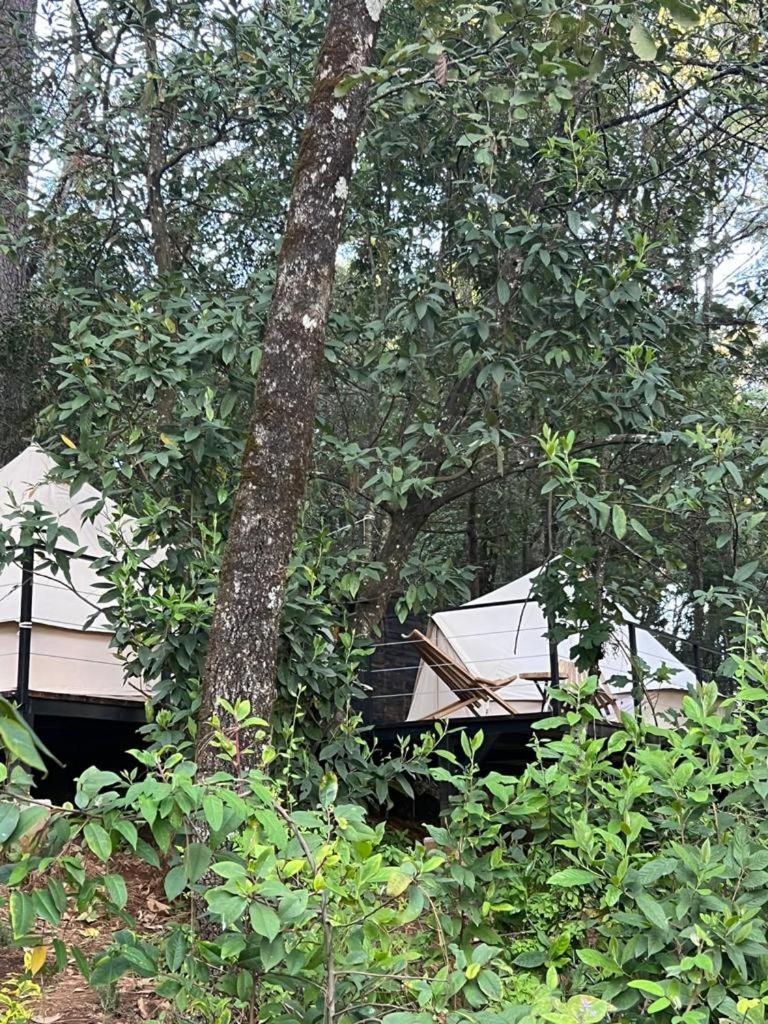 Hotel Oxu Solo Adultos Valle de Bravo Luaran gambar